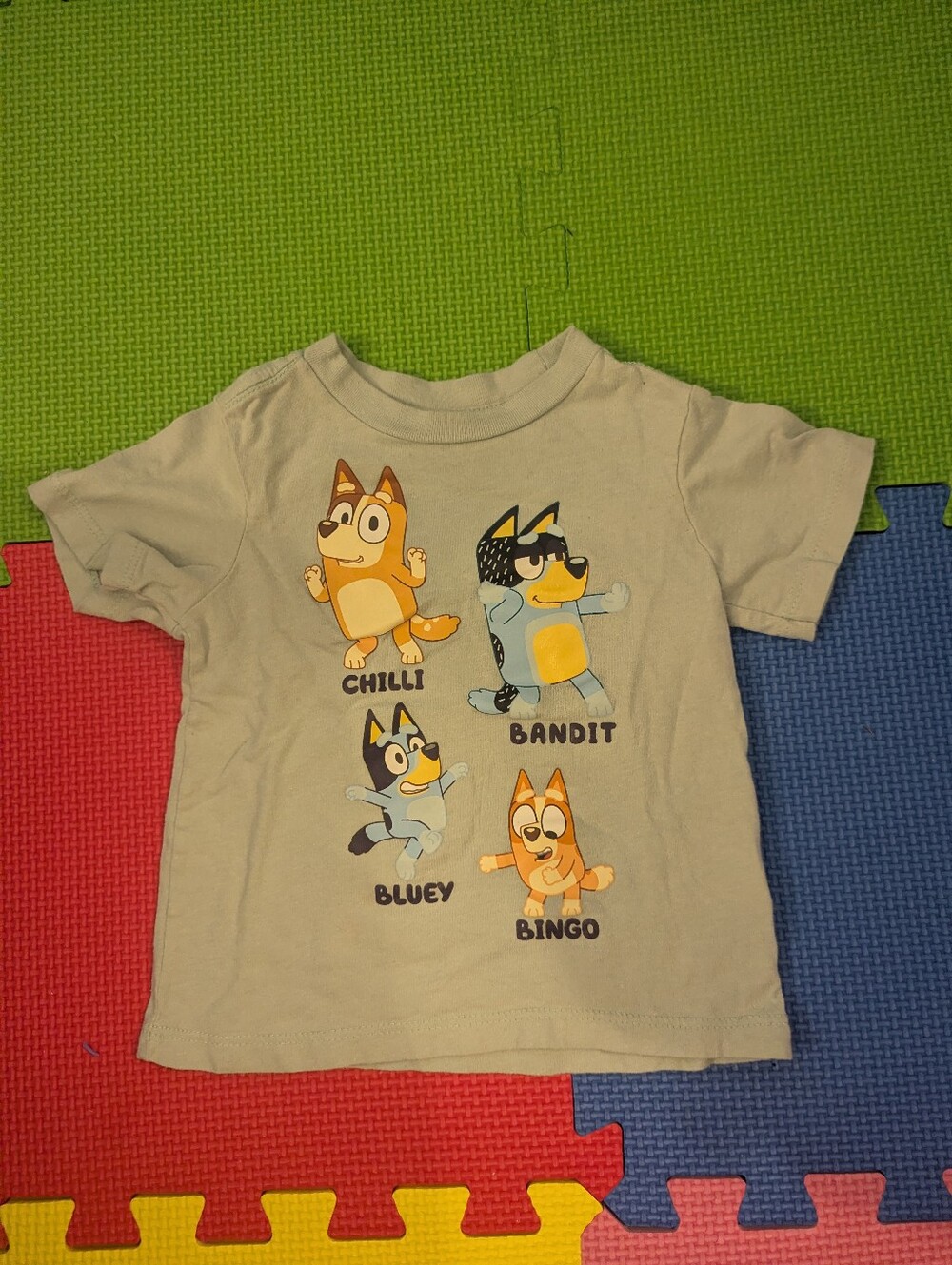 Bluey Family T-Shirt